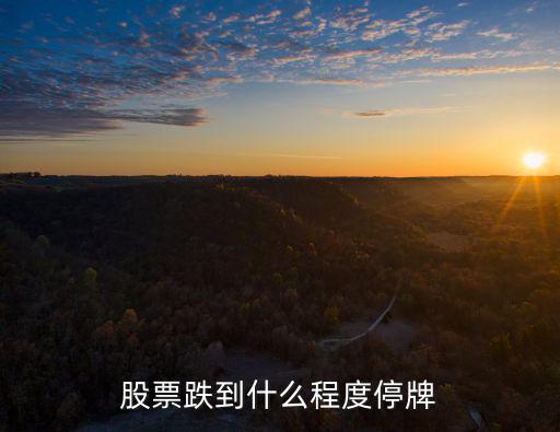 股票跌到什么程度停牌