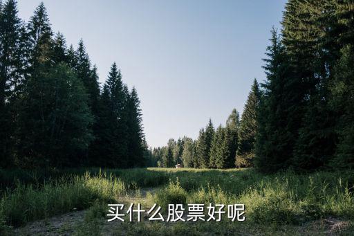 买什么股票好呢