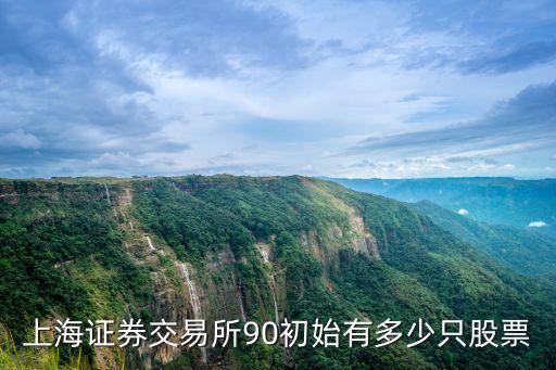 上海有多少只股票，上海股票一共有多少