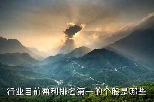 什么企业股票最盈利，现在的行情跟什么公司做股票最赚钱