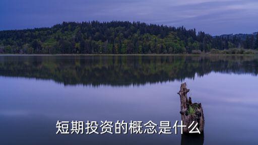 短期投资的概念是什么