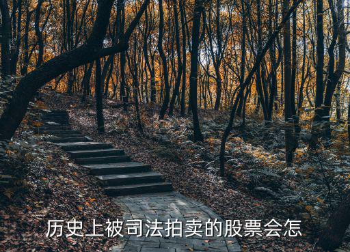 历史上被司法拍卖的股票会怎