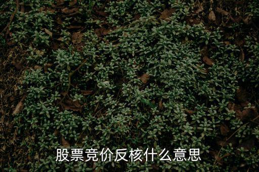 股票什么是反核，反核股票是什么意思