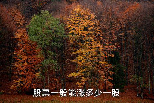 股票一般能涨多少一股