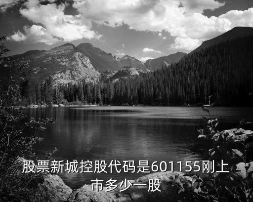 股票新城控股代码是601155刚上市多少一股