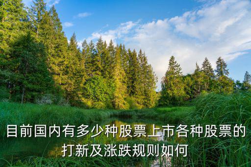 目前国内有多少种股票上市各种股票的打新及涨跌规则如何