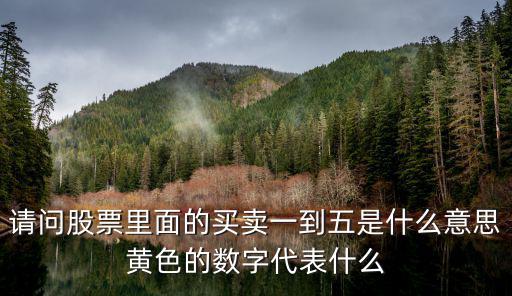 请问股票里面的买卖一到五是什么意思黄色的数字代表什么