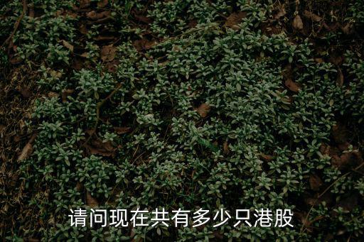 请问现在共有多少只港股