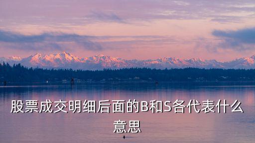 股票买入多少b，股票评级中买入B级是什么意思