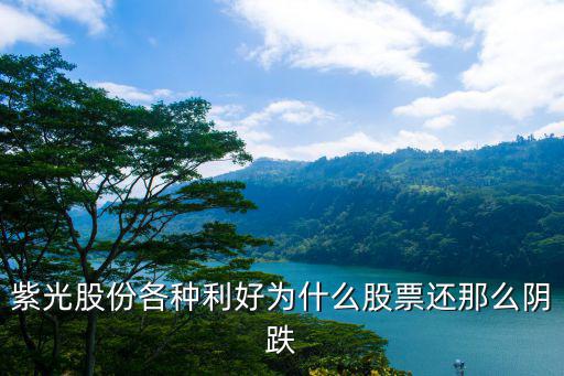 紫光股份各种利好为什么股票还那么阴跌