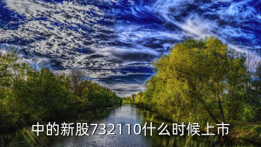 中的新股732110什么时候上市