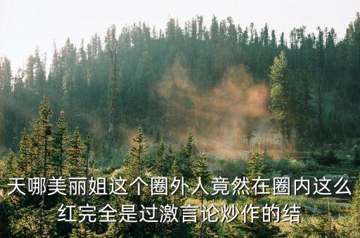 天哪美丽姐这个圈外人竟然在圈内这么红完全是过激言论炒作的结