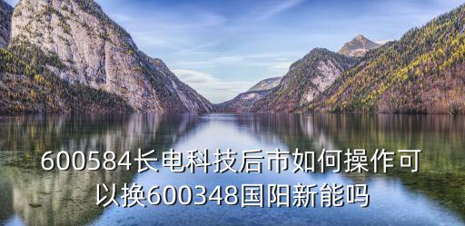 600584长电科技后市如何操作可以换600348国阳新能吗