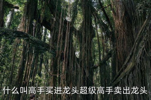 什么是赛道类股票，在赛车之城当警在哪个地方射击好