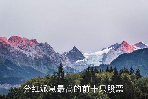 分红派息最高的前十只股票