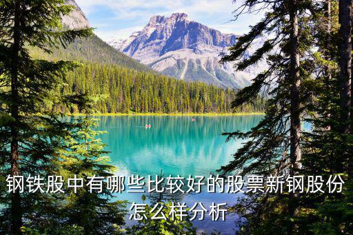 钢铁股中有哪些比较好的股票新钢股份 怎么样分析