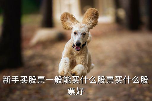 新手买股票一般能买什么股票买什么股票好