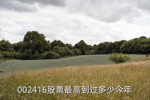002416股票最高到过多少今年
