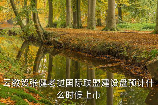 云数贸张健老挝国际联盟建设盘预计什么时候上市