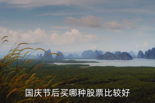 国庆节后买哪种股票比较好