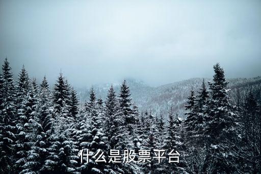 股票融资平台是什么，深圳炒股融资平台有哪些