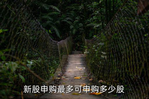 新股申购最多可申购多少股