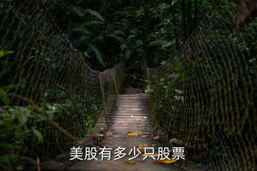 美国有多少支股票，请问美国一共有多少只股票