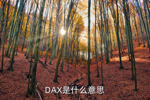DAX是什么意思