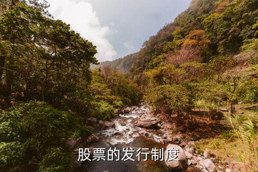 股票的发行制度