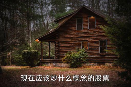 现在股票炒什么概念，现在应该炒什么概念的股票