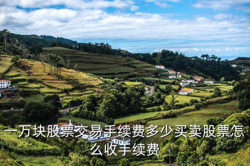 一万买股票费用多少，想问一万元股票买卖手续费多少