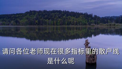 请问各位老师现在很多指标里的散户线是什么呢