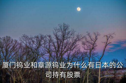 日本为什么要买股票，日本人买中国a股用什么货币