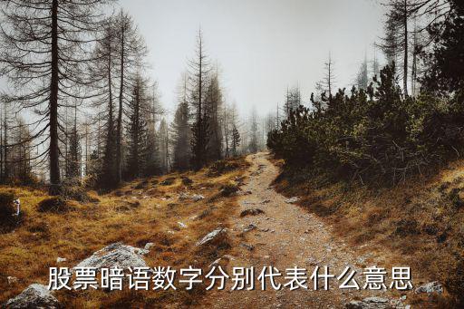 股票109是什么暗号，股票账号109开头有什么特殊含义吗