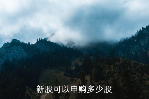 有多少股票可以申购，新股申购最多可申购多少股