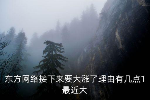 东方网络接下来要大涨了理由有几点1最近大