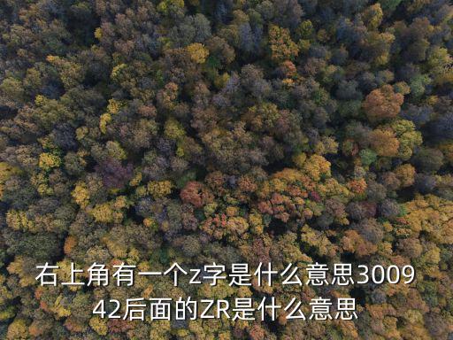 zr是什么类型股票，右上角有一个z字是什么意思300942后面的ZR是什么意思