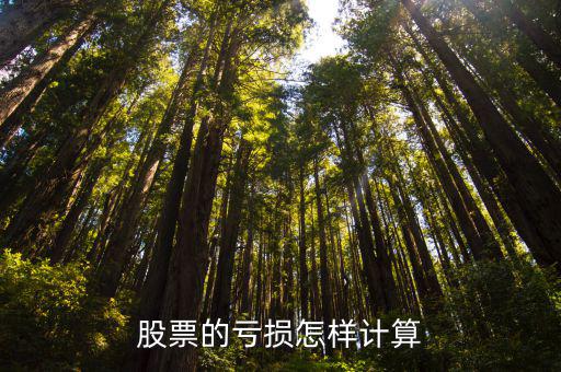 如何判定股票亏损多少，如何在同花顺上看自己炒股亏了多少钱