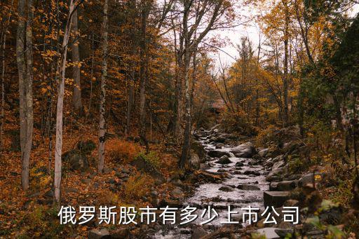 俄罗斯股票都有什么，俄罗斯个股怎么看