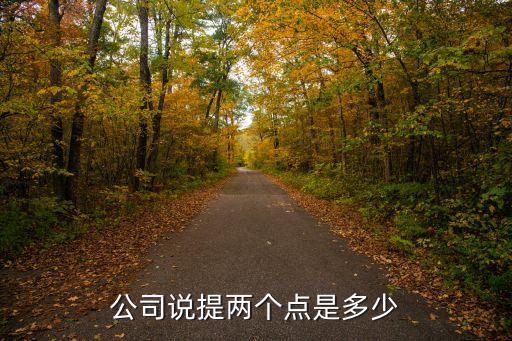 公司说提两个点是多少