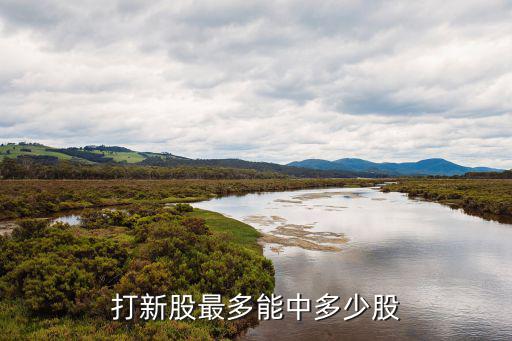 打新股最多能中多少股