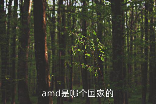 amc是什么股票概念，amd是哪个国家的