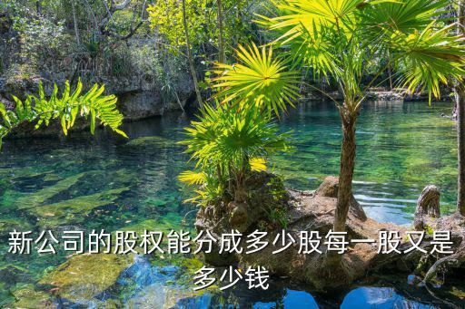 白象集团股票多少，具有公司股权的意义是甚么股票多少股怎样计算有本