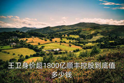 王卫身价超1800亿顺丰控股到底值多少钱