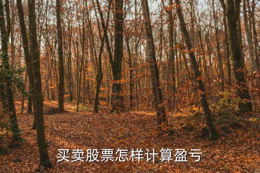 买卖股票怎样计算盈亏