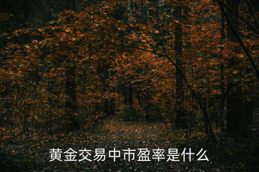 黄金股票市盈率是多少，黄金交易中市盈率是什么