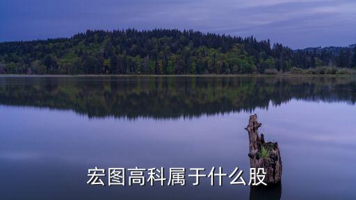 宏图高科属于什么股