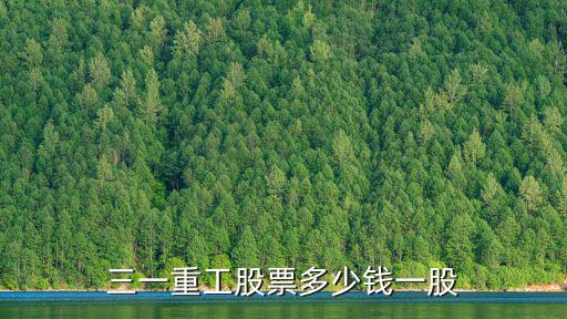三一重工股票多少钱一股