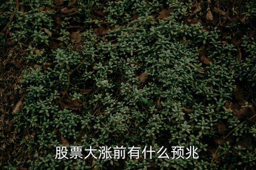 股票大涨前有什么预兆