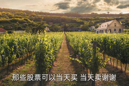 那些股票可以当天买 当天卖谢谢